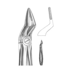 Extracting Forceps English Pattern