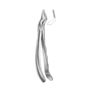 Extracting Forceps English Pattern