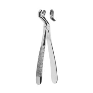 Extracting Forceps English Pattern