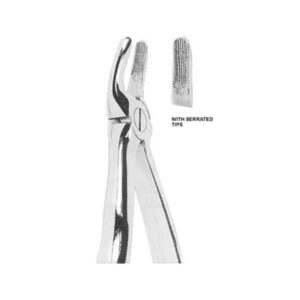 Extracting Forceps English Pattern