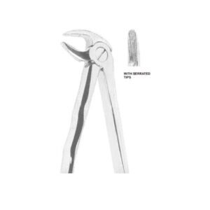 Extracting Forceps English Pattern