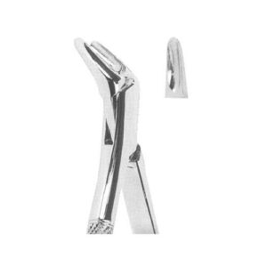 Tooth Extracting Forceps(American)